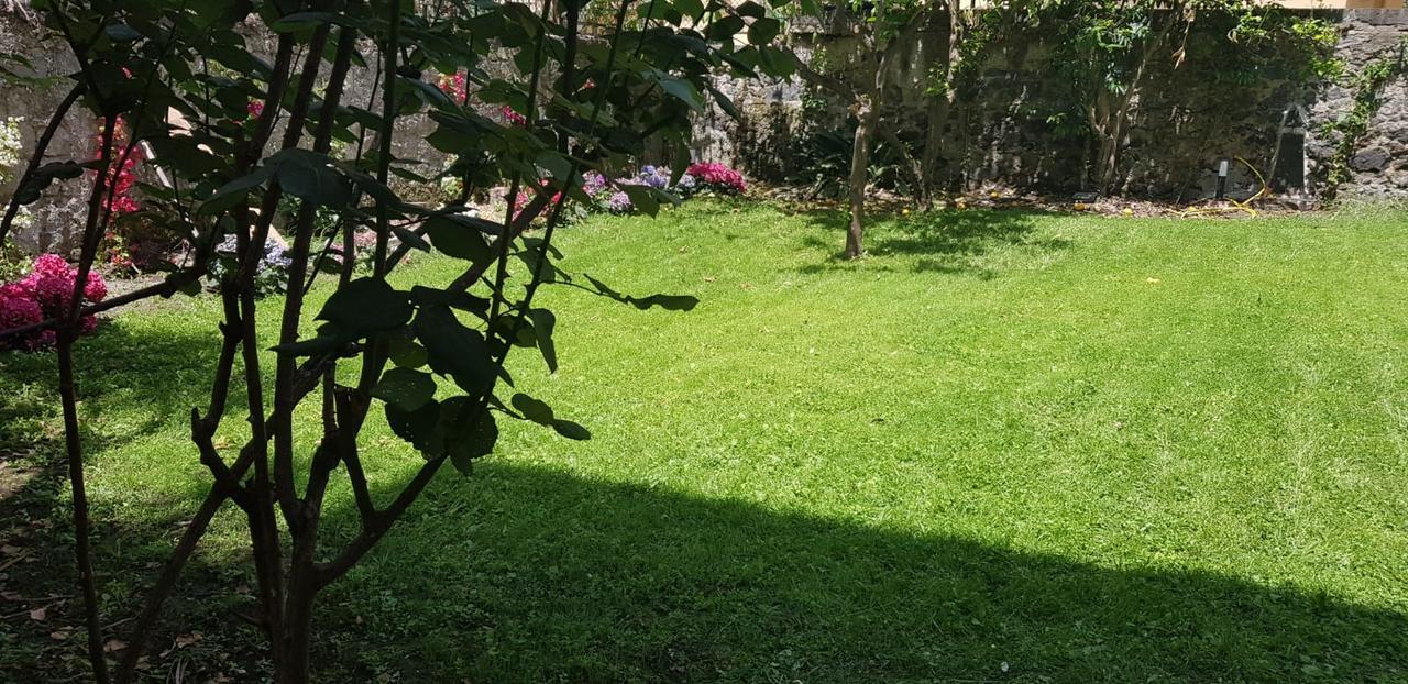 Vesuvius Gardens - Fagianeria Borbonica Relais Bed & Breakfast Ercolano Ngoại thất bức ảnh