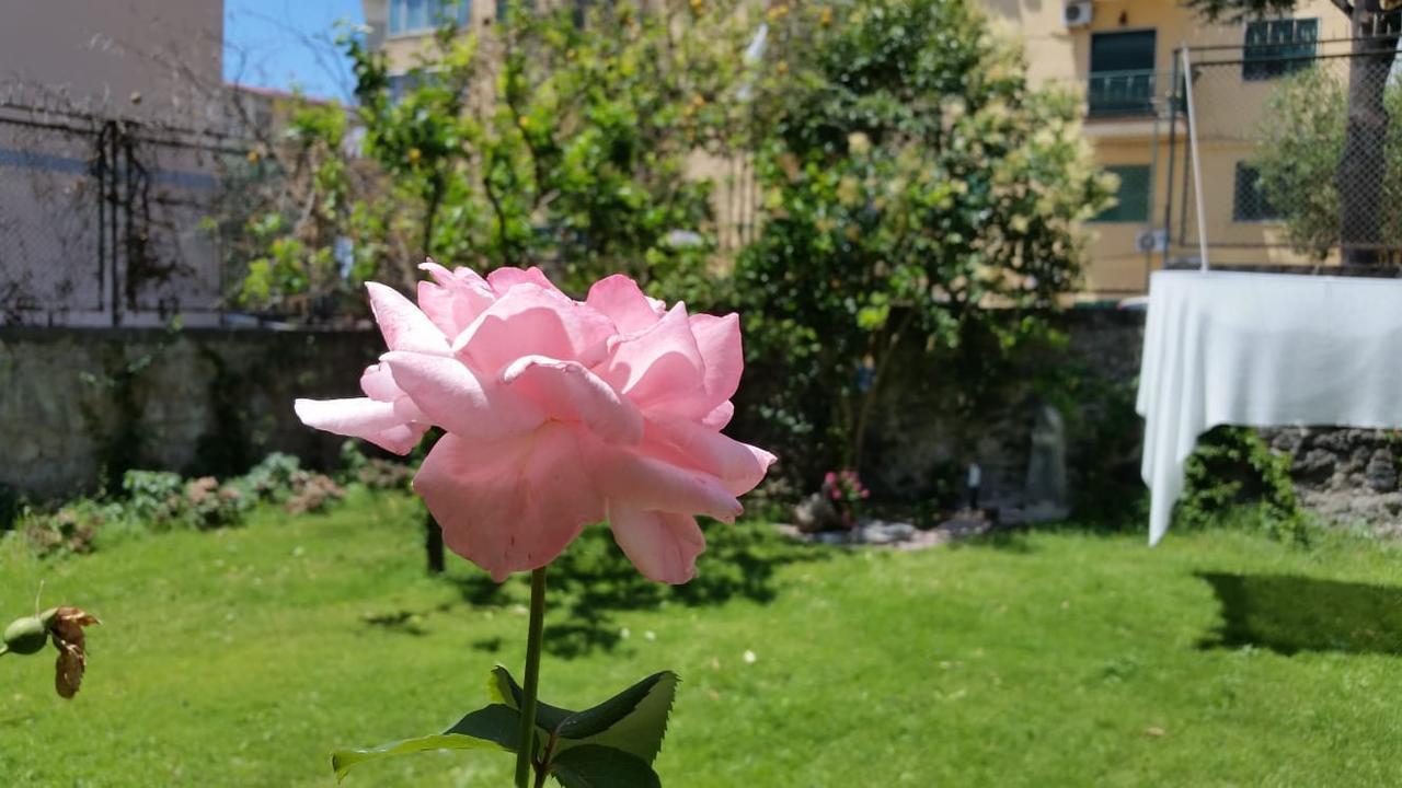 Vesuvius Gardens - Fagianeria Borbonica Relais Bed & Breakfast Ercolano Ngoại thất bức ảnh