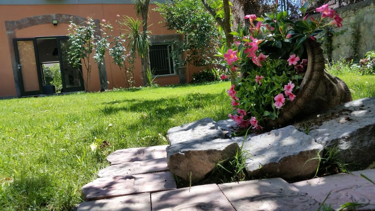 Vesuvius Gardens - Fagianeria Borbonica Relais Bed & Breakfast Ercolano Ngoại thất bức ảnh